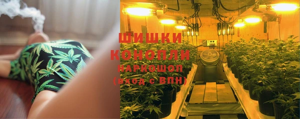 метадон Ельня